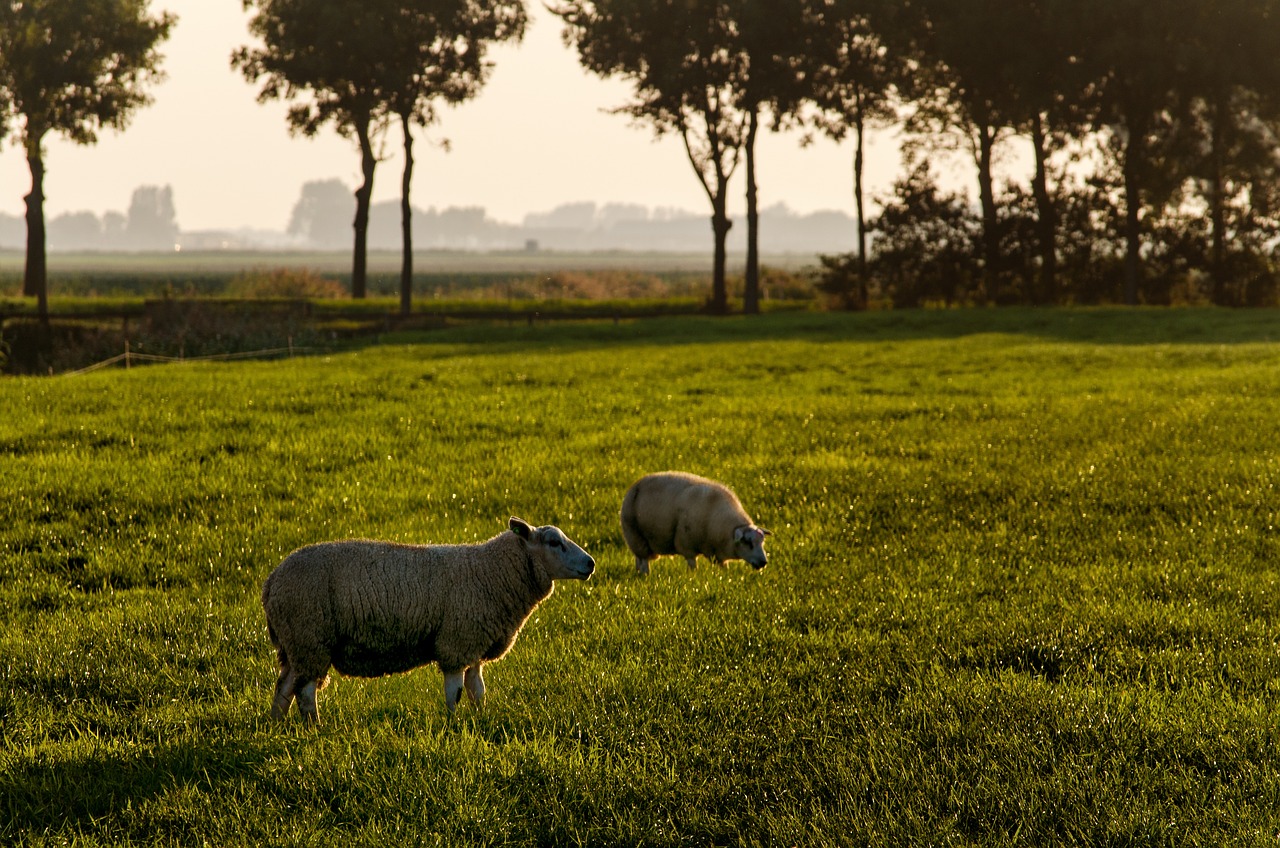 Paint a Perfect Day: Mastering Light in Landscape Art